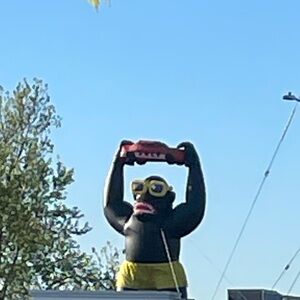 Meet your Posher, Lachy